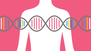 آزمایش ژنتیک سرطان سینه با بهترین قیمت
